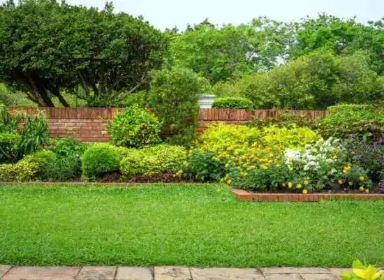 landscaping services La Mesa